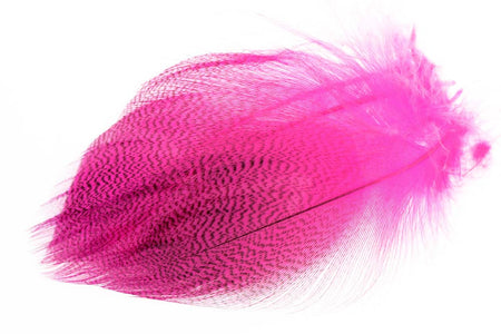 Du tilføjede <b><u>Gadwall Barred Flank - Fl. Pink</u></b> til kurven.