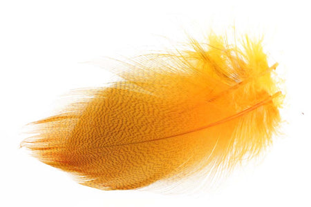 Du tilføjede <b><u>Mallard Duck Flank Large Selected - Fl. Orange</u></b> til kurven.
