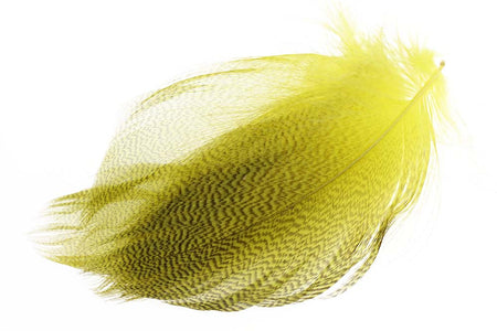 Du tilføjede <b><u>Gadwall Barred Flank - Yellow</u></b> til kurven.