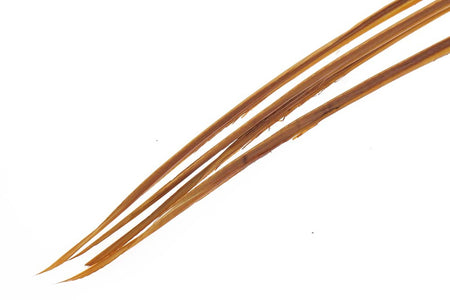 Du tilføjede <b><u>Turkey biots - March Brown</u></b> til kurven.