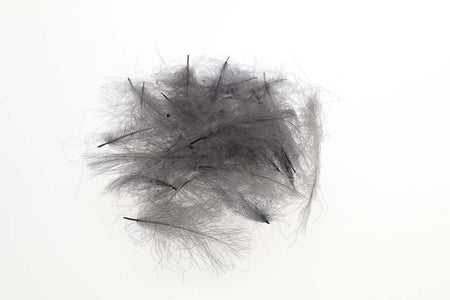 Du tilføjede <b><u>Flyco Cul De Canard - Blue Dun</u></b> til kurven.