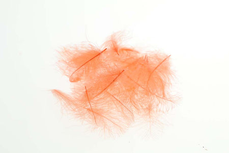 Du tilføjede <b><u>Flyco Cul De Canard - Fluo. Orange</u></b> til kurven.