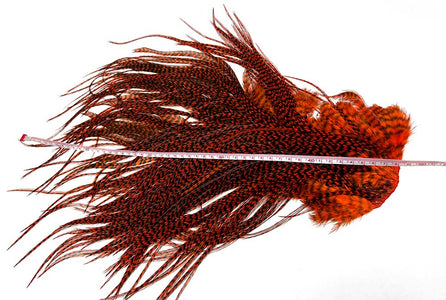 Du tilføjede <b><u>Whiting Euro saddle - Grizzly Orange</u></b> til kurven.