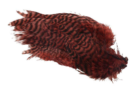 Du tilføjede <b><u>Soft hackles - Grizzly Brown</u></b> til kurven.