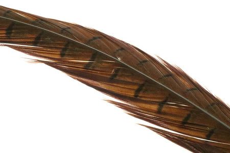 Du tilføjede <b><u>Ringneck Pheasant tail 1 Pair - Natural</u></b> til kurven.