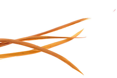 Du tilføjede <b><u>Goose Biots - Ginger</u></b> til kurven.