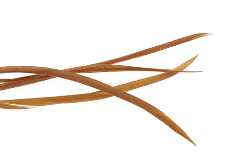 Du tilføjede <b><u>Goose Biots - Tan</u></b> til kurven.