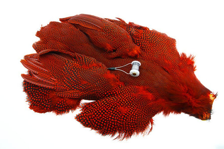 Du tilføjede <b><u>Whiting Perlehøne whole bird - Red</u></b> til kurven.