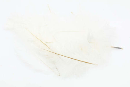 Du tilføjede <b><u>Micro Ostrich Spey Plumes - White</u></b> til kurven.