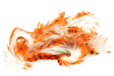 Du tilføjede <b><u>3 mm A-grade Tiger Barred Zonkerstrips - White/Orange/Black</u></b> til kurven.