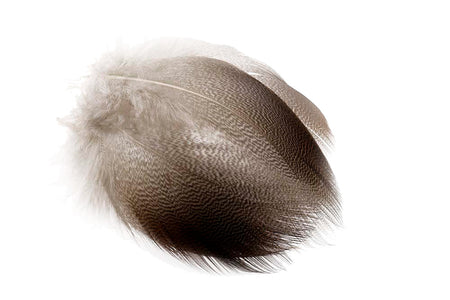 Du tilføjede <b><u>Mallard - Bronze natural</u></b> til kurven.