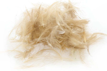 Du tilføjede <b><u>Swiss CDC Standard - Light Brown 4</u></b> til kurven.
