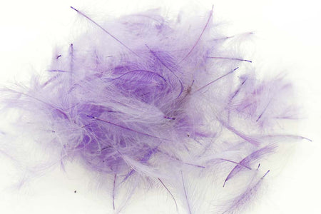 Du tilføjede <b><u>Swiss CDC Standard - Violet 32</u></b> til kurven.