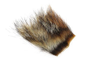 Woodchuck