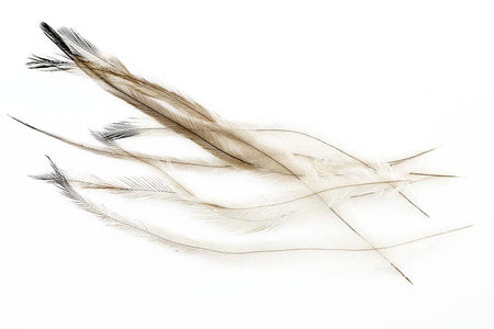 Du tilføjede <b><u>Nandu feathers</u></b> til kurven.