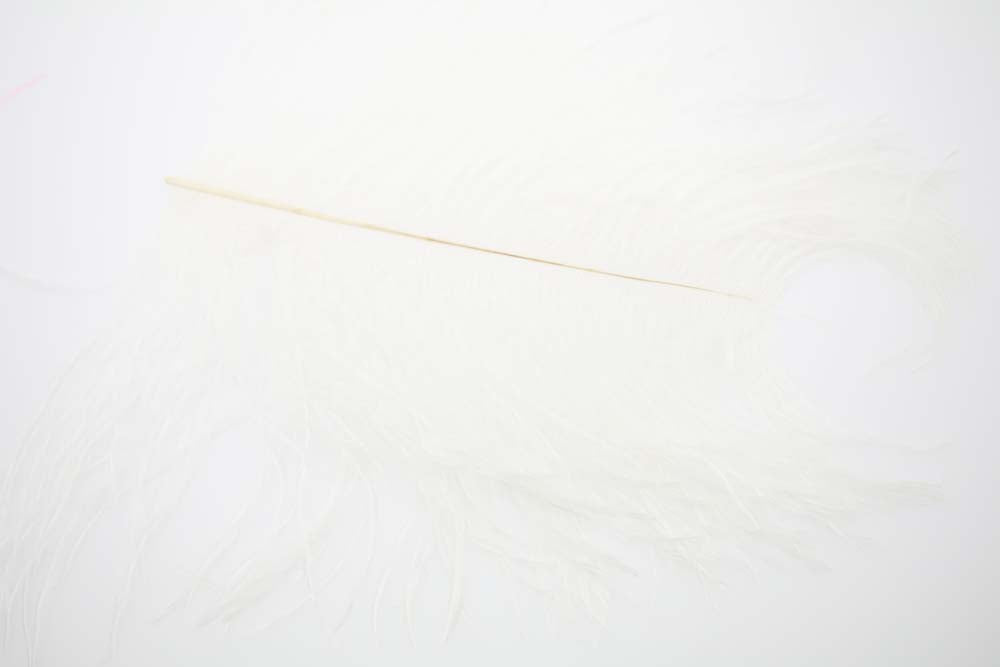 XL Struds Herl - White