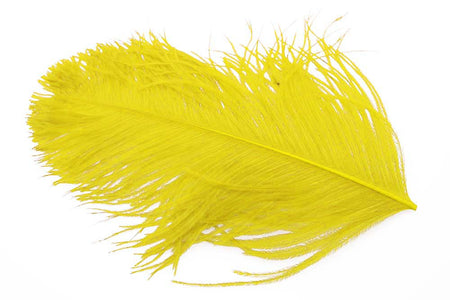 Du tilføjede <b><u>XL Struds Herl - Yellow</u></b> til kurven.
