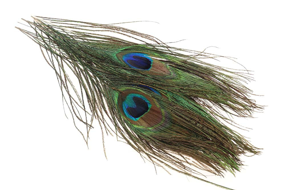 Peacock eye - Natural