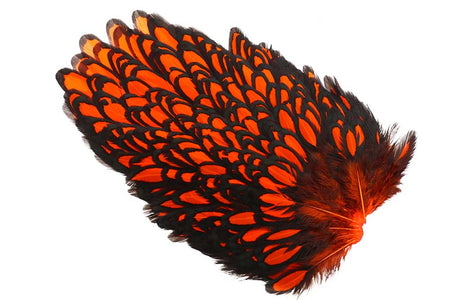 Du tilføjede <b><u>Whiting American Hen Saddle Black Laced - Orange</u></b> til kurven.