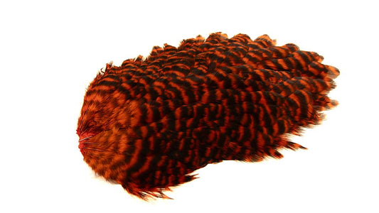 Du tilføjede <b><u>4 B's Hen Saddle Grizzly dyed Orange</u></b> til kurven.