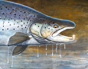 Thomas Weiergang original 58 x 45 - Seatrout Buck
