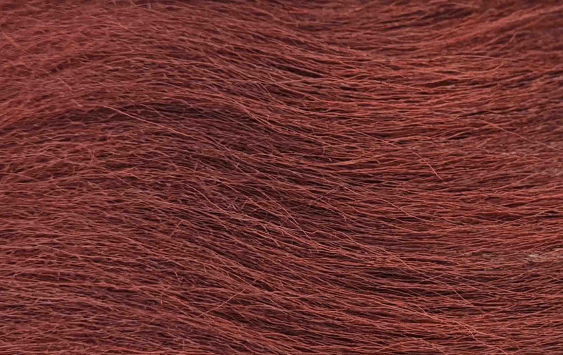 Futurefly FF Snowrunner/Nayat - Fiery Brown