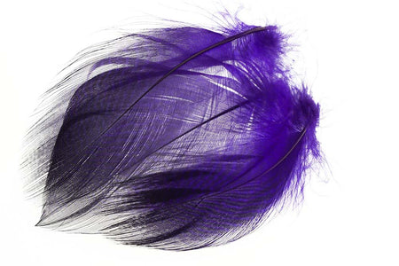 Du tilføjede <b><u>Teal Barred Flank - Purple</u></b> til kurven.