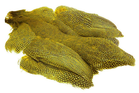 Du tilføjede <b><u>Whiting Perlehøne whole bird - Yellow</u></b> til kurven.