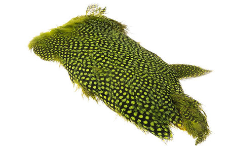 Du tilføjede <b><u>Whiting Perlehøne Thigh - Fluo. Yellow Chartreuse</u></b> til kurven.