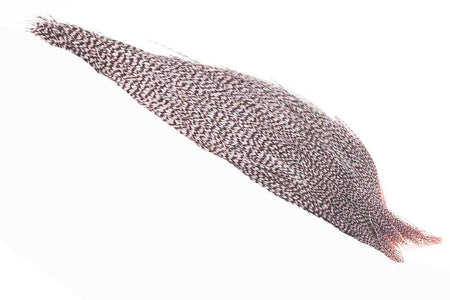 Du tilføjede <b><u>1/2 (Pro Grade) Whiting Red Label Dryfly - Grizzly Dun</u></b> til kurven.