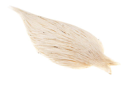 Du tilføjede <b><u>(Gold Grade) Whiting Red Label Dryfly - White</u></b> til kurven.